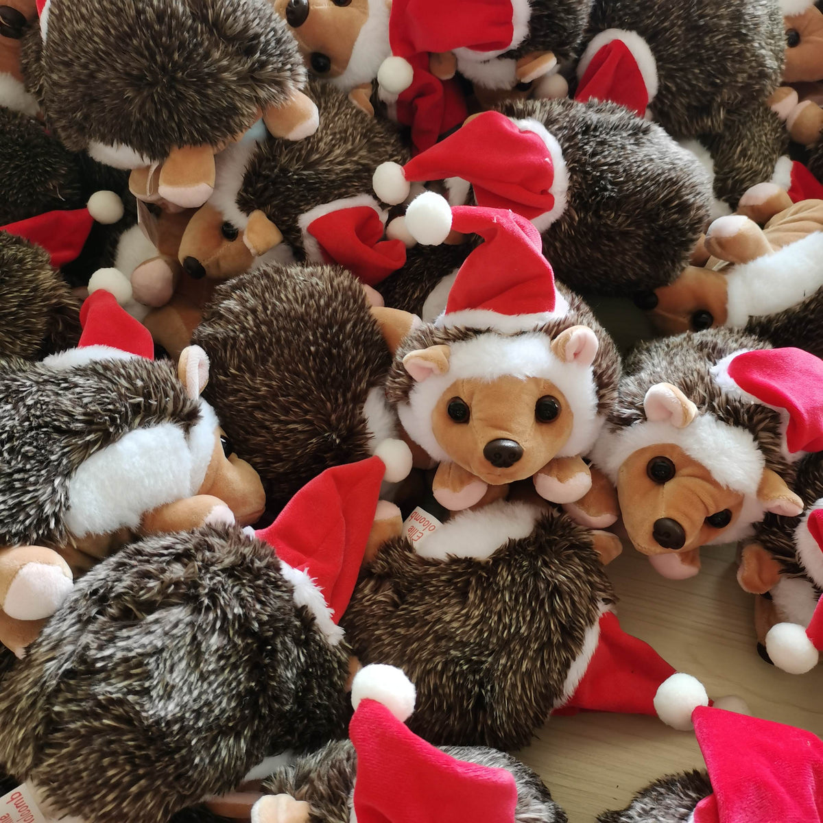 Sounding Joy - Children's Book & Hope the Hedgehog